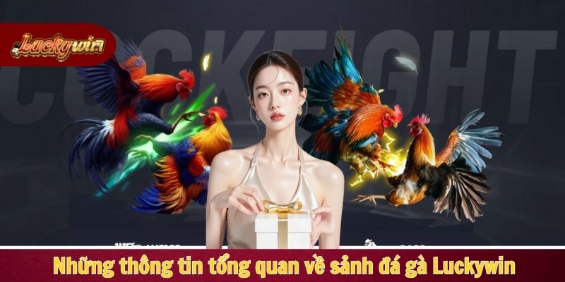 Những thông tin tổng quan về sảnh đá gà Luckywin