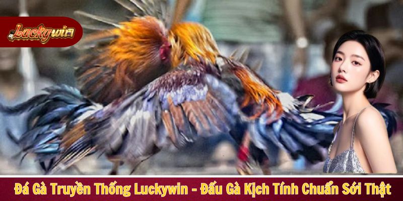 Đá gà truyền thống Luckywin