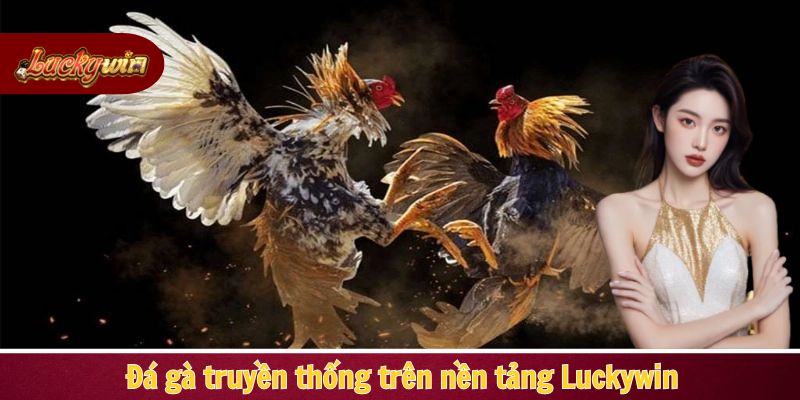 Đá gà truyền thống trên nền tảng Luckywin