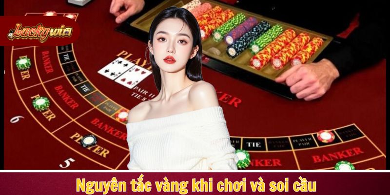 Nguyên tắc quản lý vốn đóng vai trò quan trọng khi dự đoán cầu